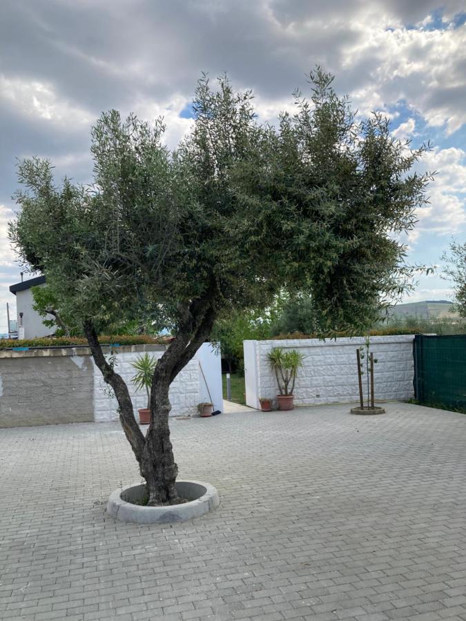 Villa Mater Matera Kültér fotó